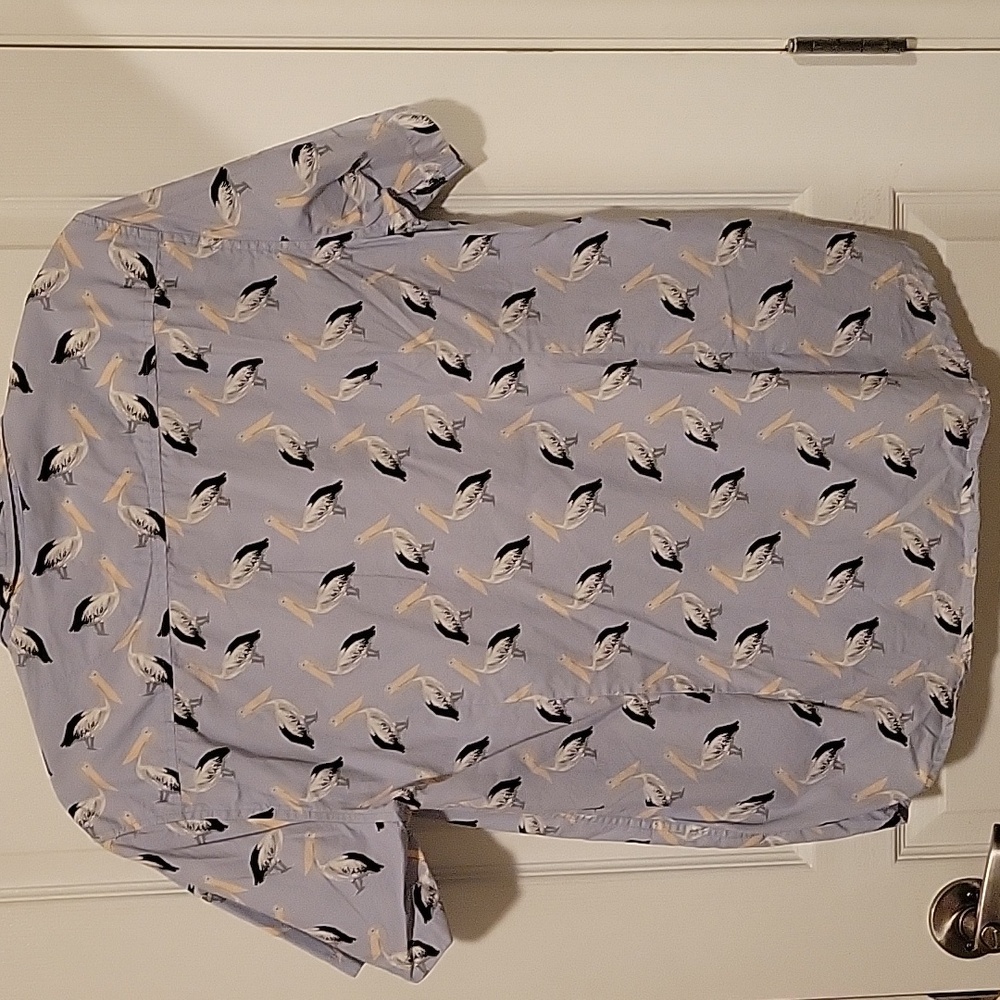 Men's Bird Print Casual Button Down Shirts - Light Blue and Cream - Picture 5 of 9
